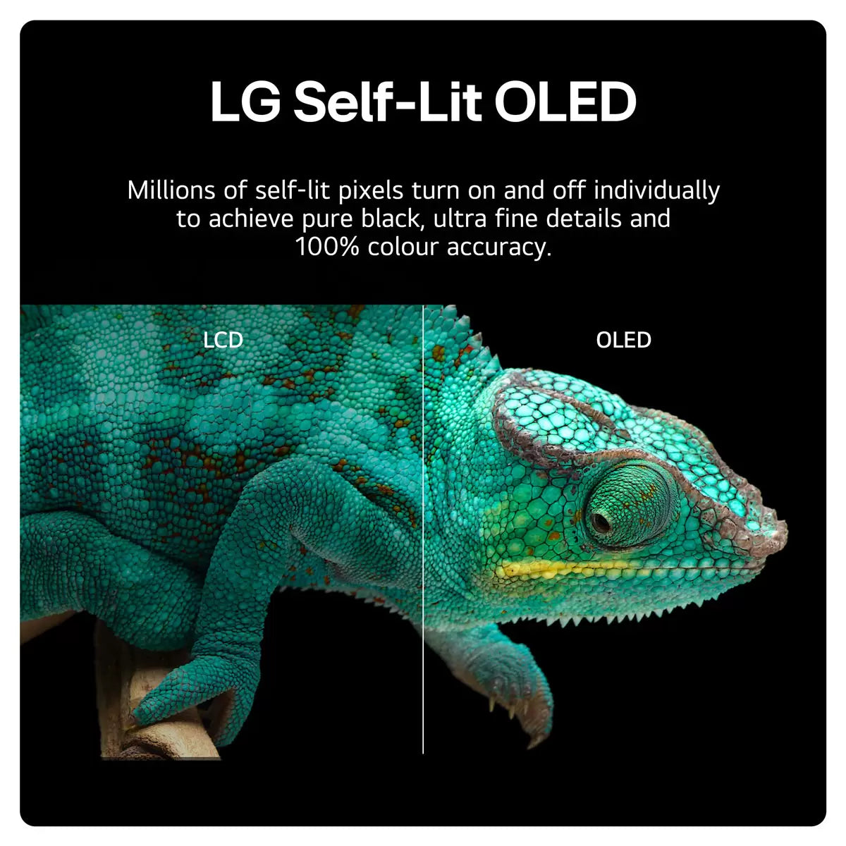 LG OLED48B46LA 48 Inch OLED 4K Ultra HD Smart TV